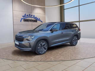 Skoda Kodiaq age.one-day registration Kaufen