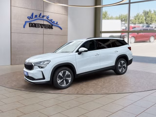 Skoda Kodiaq age.one-day registration Kaufen