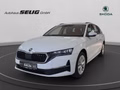 Daumennagel 1 - Skoda Octavia Combi 2.0 TDI DSG Selection, LED, PDC, ACC, Navi, AHK, ...