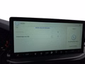 Daumennagel 48 - Ford Focus ST-Line X 1.0 155PS Aut. UPE=41700€     **