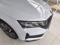 Daumennagel 18 - 2024 Skoda Octavia Combi 2.0 TDI 110 kW Sportline