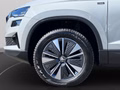 Daumennagel 13 - Skoda Karoq 2.0 TDI DSG 4x4 Drive, ACC, AHK, ACC, Navi, Kamera, El.Heckklappe, ....