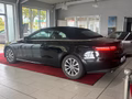 Daumennagel 7 - Mercedes-Benz E 220 d CABRIO BURMESTER/AHK