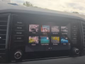 Daumennagel 40 - Skoda Karoq 1,5TSI DSG aAHK/ACC/Kamera/Winterp.       **