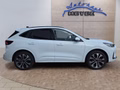 Daumennagel 6 - Ford Kuga ST-Line X 2,5 PHEV 20*Alu/AHK/Pano/Matrix/el.Klappe  **