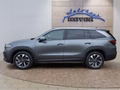 Daumennagel 2 - Skoda Kodiaq 2,0TSI DSG 4x4 aAHK/7-Sitzer/Matrix/Navi/el.Klappe **