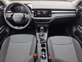 Daumennagel 10 - Skoda Fabia 1,0TSI DSG 2-Z.Klimaaut/Winterp/Temp/LED/Pdc