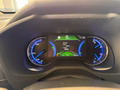 Daumennagel 17 - Toyota RAV4 Hybrid 4x2 Club Sitzheizung Navi