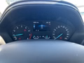 Daumennagel 16 - Ford Puma Titanium