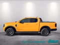 Daumennagel 3 - Ford Ranger 3,0l EcoBlue Doppelkabine Autm. Wildtrak