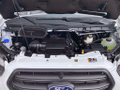 Daumennagel 17 - Ford Transit 310 L2H2 Lkw VA Basis Seitenw.verkl.ho.
