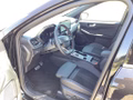 Daumennagel 14 - Ford Kuga 2.5 Duratec PHEV ST-LINE X LED AHK W-Paket