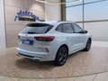Daumennagel 8 - Ford Kuga ST-Line 2.5 Plug-in-Hybrid aAHK/Keyless/Winterp/LED/Navi **