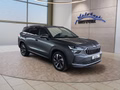Daumennagel 7 - Skoda Kodiaq 2,0TDI DSG 4x4 aAHK/7-Sitzer/Matrix/Navi/el.Klappe   **