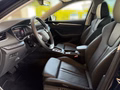 Daumennagel 7 - Skoda Octavia Combi 2.0 TDI 110 kW Tour AHK Panorama Leder