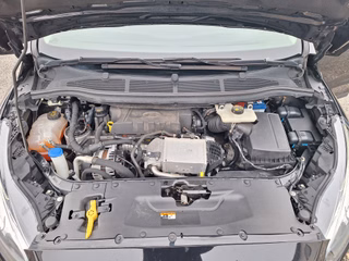 Ford S-MAX 2.0 Aut AHK abn Navi DAB Rückf-Kamera PPS v+h Sitzheizung - foto 10