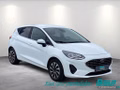 Daumennagel 2 - Ford Fiesta 1.0 EcoBoost S&S TITANIUM Winter-Paket