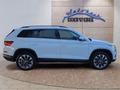 Daumennagel 6 - Skoda Kodiaq 1.5TSI DSG 19*Alu/LED/Navi/ACC/el.Klappe