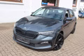 Daumennagel 16 - Skoda Scala Style 1.0 TSI DSG  LED Leuchte=Scheckheft