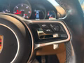 Daumennagel 20 - Porsche Cayenne S Diesel PANORAMA/AHK