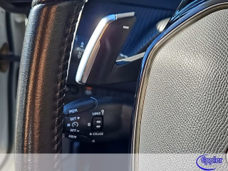 Peugeot 2008 Active  130 EAT8 Sitzheizung Navi Kamera - bilder 10