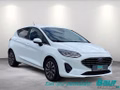 Daumennagel 2 - Ford Fiesta 1.0 EcoBoost Hybrid S&S TITANIUM Winter