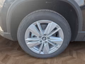 Daumennagel 14 - Skoda Karoq 1,5TSI DSG aAHK/ACC/Kamera/Winterp.       **