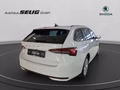 Daumennagel 6 - Skoda Octavia Combi 2.0 TDI DSG Selection, LED, PDC, ACC, Navi, AHK, ...