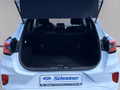 Daumennagel 10 - Ford Puma ST-Line