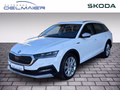 Daumennagel 1 - Skoda Octavia Combi Scout 4x4 2.0 TDI DSG AHK ACC Columbus Ergo-Sitze