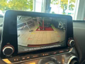 Daumennagel 17 - Nissan Juke 1.6 Hybrid N-Connecta
