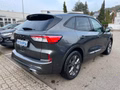 Daumennagel 6 - Ford Kuga 1.5 EcoBoost ST-Line ACC/Navi/RFK/BLIS