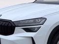 Daumennagel 5 - Skoda Kodiaq 2.0 TDI 142 kW 4x4 Sportline