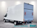 Daumennagel 4 - Ford Transit 350 L4 VA Trend Kofferaufbau Junge