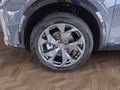 Daumennagel 14 - CUPRA Formentor 1.5 eTSI DSG Navi/Leder/ACC/Kamera/el.Klappe  **