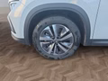 Daumennagel 17 - Skoda Kodiaq 2,0TDI DSG 7-Sitzer/Matrix/Navi/ACC/el.Klappe/Kamera  **