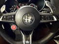 Thumbnail 21 - Alfa Romeo Stelvio Quadrifoglio Q4