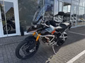 Daumennagel 7 - Triumph Tiger 900 Desert Edition MY26 Akrapovic