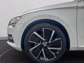 Daumennagel 12 - Skoda Superb Combi Style 2,0 TDI DSG