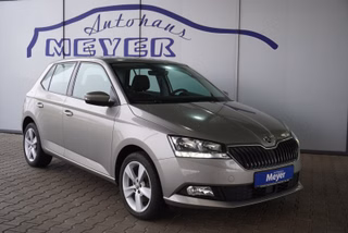 Skoda Fabia Gebrauchtwagen Kaufen