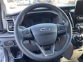 Daumennagel 8 - Ford Tourneo Custom L2 Titanium RFK + Bi-Xenon
