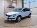 Daumennagel 1 - Skoda Karoq 1,5TSI DSG aAHK/ACC/Kamera/Winterp.