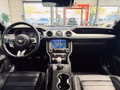 Daumennagel 13 - Ford Mustang Mach 1 MagneRide StylingPaket