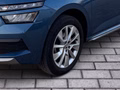 Daumennagel 6 - Skoda Kamiq 1.5 TSI DSG Style AHK SHZ Apple Carplay