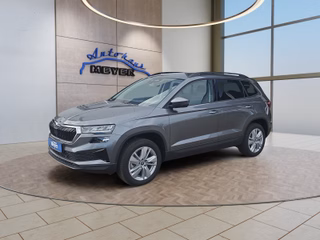 Skoda Karoq age.one-day registration Kaufen