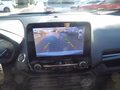 Daumennagel 22 - Ford EcoSport ST-Line