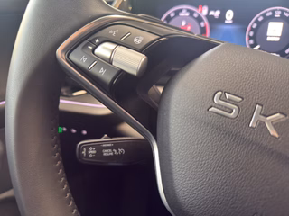 Skoda Kodiaq Autom., LED Navi Pano Kamera AHK 7-Sitzer - foto 9
