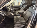Daumennagel 9 - Land Rover Discovery 5 HSE TD6 Standheizung 7sitzer AHK