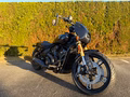 Daumennagel 2 - Indian Scout 101 Limited + Tech MY 2026