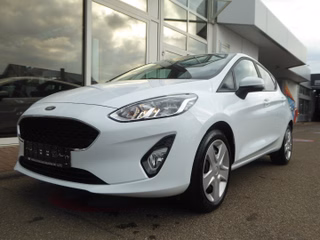 Ford Fiesta Gebrauchtwagen Kaufen